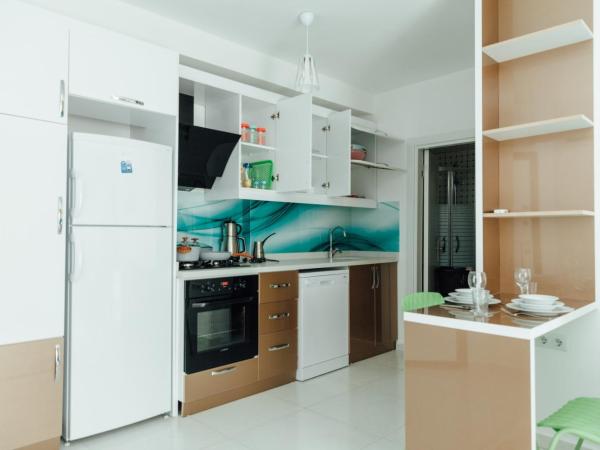 Sare Suites Downtown : photo 8 de la chambre appartement 1 chambre