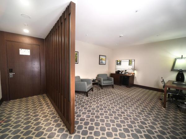 Mercure Istanbul West Hotel & Convention Center : photo 3 de la chambre suite supérieure