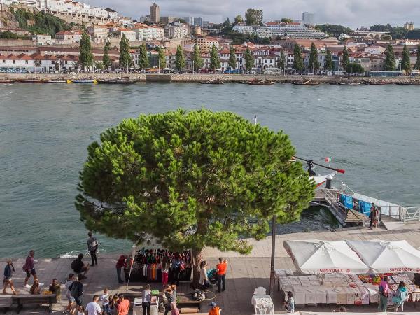 Porto River : photo 10 de la chambre appartement 1 chambre avec vue sur la rivière