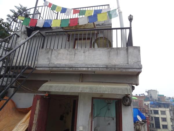 Green House Lodge : photo 6 de la chambre chambre lits jumeaux avec terrasse