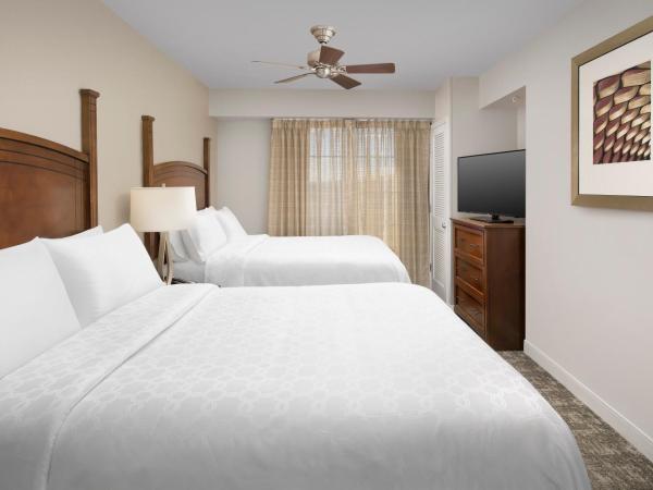 Staybridge Suites Columbia, an IHG Hotel : photo 2 de la chambre suite 1 chambre avec 2 lits queen-size