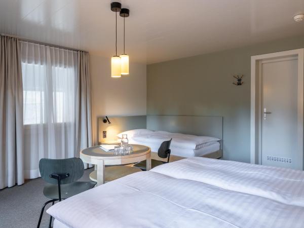 Hotel Alpenruhe - Vintage Design Hotel : photo 6 de la chambre chambre triple avec balcon et vue sur le jardin