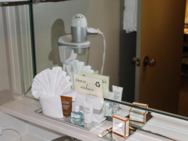 The Crockett Hotel : photo 2 de la chambre chambre supérieure lit queen-size