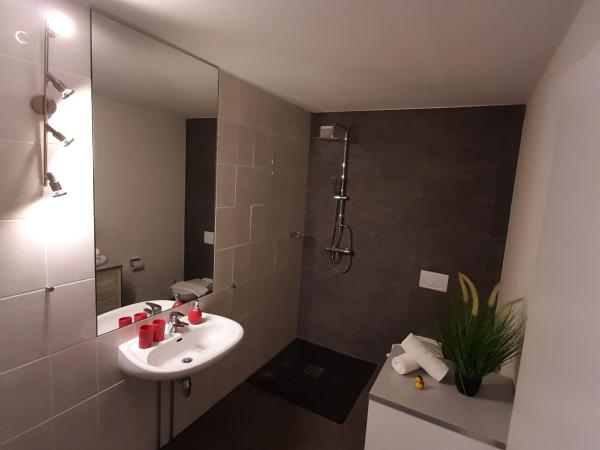 Plantagengut Hosterwitz : photo 9 de la chambre appartement avec terrasse