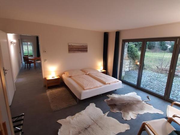 Plantagengut Hosterwitz : photo 7 de la chambre appartement avec terrasse
