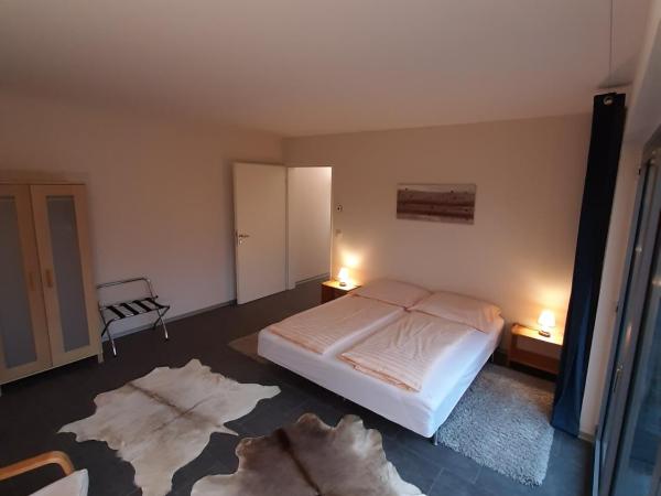 Plantagengut Hosterwitz : photo 8 de la chambre appartement avec terrasse