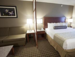 Best Western Plus Peak Vista Inn & Suites : photo 7 de la chambre room #27102613