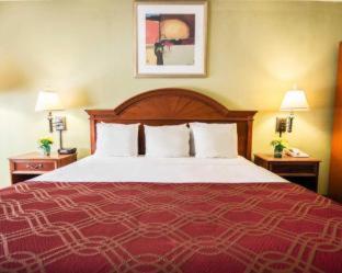 Stayable Orlando at Florida Mall : photo 6 de la chambre room #5802319