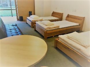 Kyoto Utano Youth Hostel : photo 8 de la chambre room #218678907