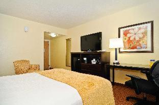 Spark by Hilton Orlando near SeaWorld : photo 4 de la chambre room #31961608