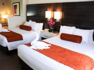 Sonesta Essential Orlando : photo 5 de la chambre room #5612425