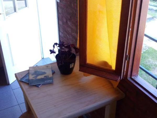 Hostel Aves del Lago : photo 6 de la chambre appartement - vue sur lac