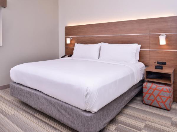 Holiday Inn Express New Orleans - St Charles, an IHG Hotel : photo 9 de la chambre chambre lit king-size standard