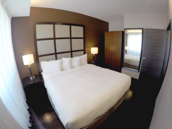 M Montreal Hostel : photo 2 de la chambre appartement supérieur