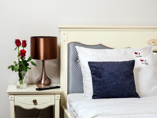 Hotel Trzy Róże : photo 5 de la chambre suite