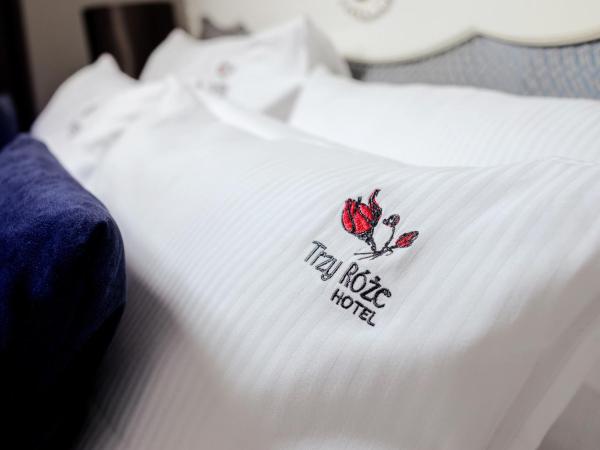 Hotel Trzy Róże : photo 6 de la chambre suite