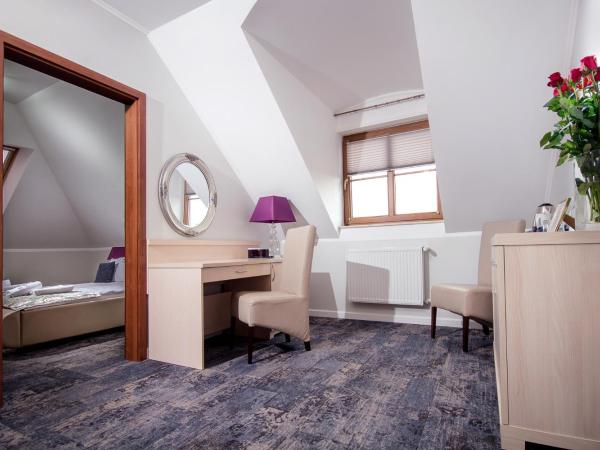 Hotel Trzy Róże : photo 7 de la chambre studio lit king-size deluxe