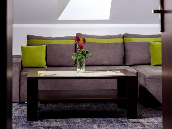 Hotel Trzy Róże : photo 8 de la chambre studio lit king-size deluxe