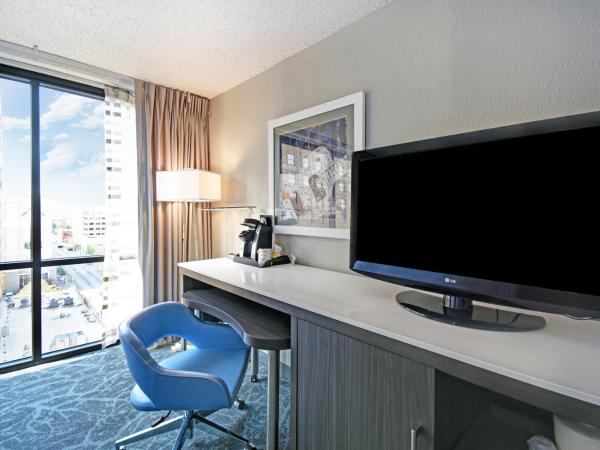 Holiday Inn - Memphis Downtown - Beale St., an IHG Hotel : photo 2 de la chambre chambre king standard avec vue sur ville