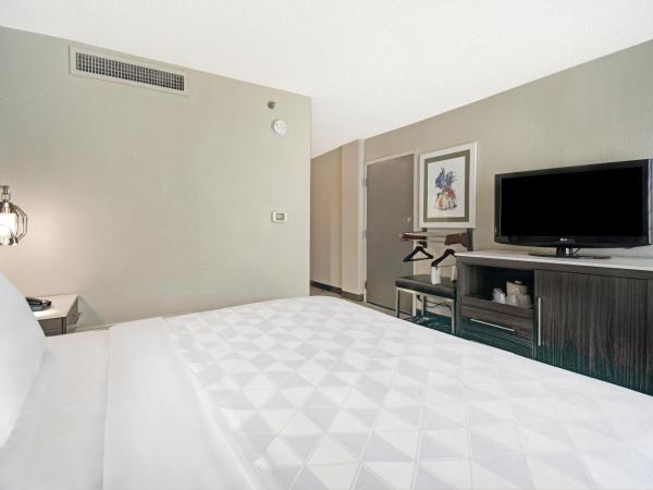 Holiday Inn - Memphis Downtown - Beale St., an IHG Hotel : photo 4 de la chambre standard king room with roll-in shower - communications access
