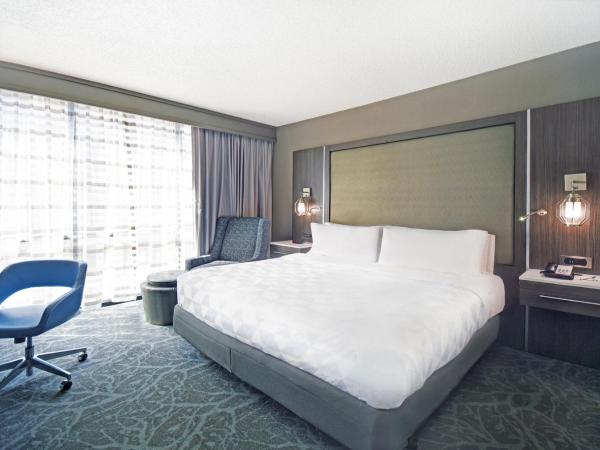 Holiday Inn - Memphis Downtown - Beale St., an IHG Hotel : photo 4 de la chambre chambre lit king-size standard