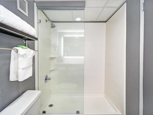 Holiday Inn - Memphis Downtown - Beale St., an IHG Hotel : photo 3 de la chambre chambre lit king-size standard