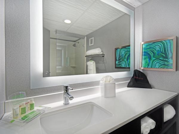 Holiday Inn - Memphis Downtown - Beale St., an IHG Hotel : photo 2 de la chambre chambre lit king-size standard