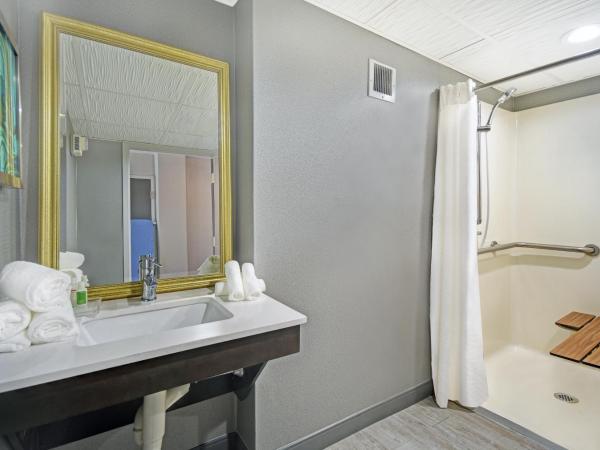 Holiday Inn - Memphis Downtown - Beale St., an IHG Hotel : photo 2 de la chambre standard king room with roll-in shower - communications access