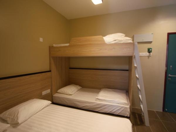 Shamrock Greenhill : photo 2 de la chambre chambre quadruple standard