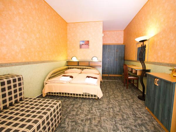 Piknik Wellness Hotel : photo 2 de la chambre chambre double ou lits jumeaux supérieure avec terrasse