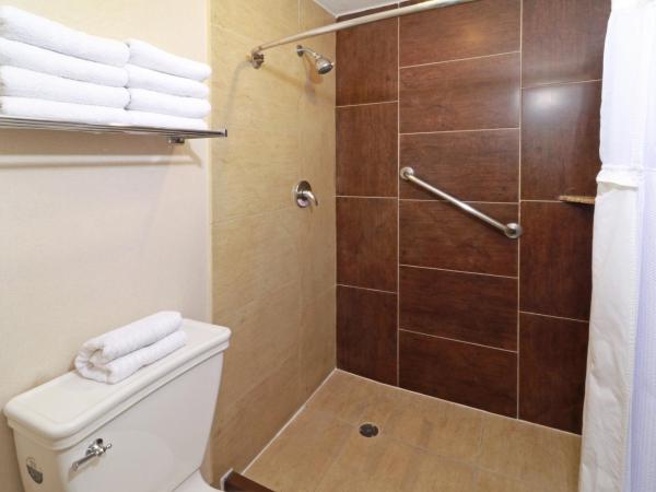 Staybridge Suites Queretaro, an IHG Hotel : photo 1 de la chambre suite 1 chambre lit king-size