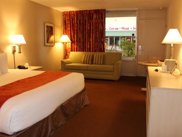 Ramada by Wyndham Kissimmee Gateway - Free Theme Park Shuttle : photo 5 de la chambre chambre auberge standard lit king-size