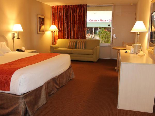 Ramada by Wyndham Kissimmee Gateway - Free Theme Park Shuttle : photo 6 de la chambre chambre auberge standard lit king-size