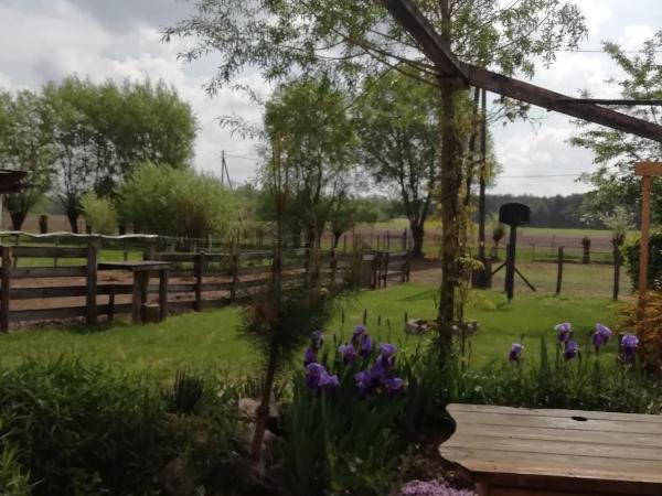 Lazy Days : photo 6 de la chambre chambre lit queen-size - vue sur jardin