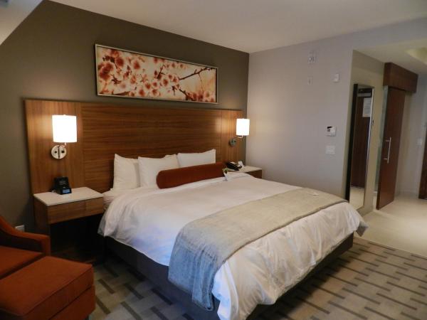 Radisson Hotel & Conference Centre Calgary Airport : photo 5 de la chambre chambre lit king-size