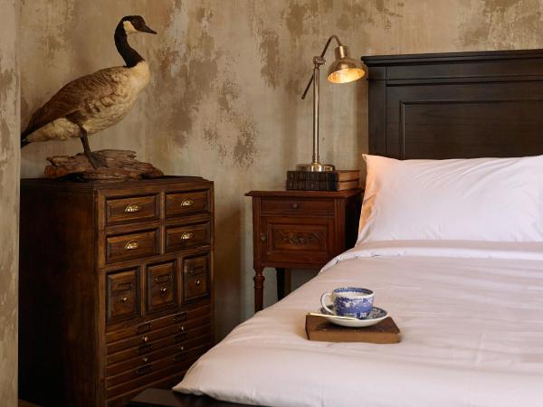 The Mustang Blu : photo 3 de la chambre chambre double deluxe