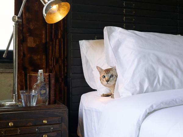 The Mustang Blu : photo 3 de la chambre chambre double deluxe