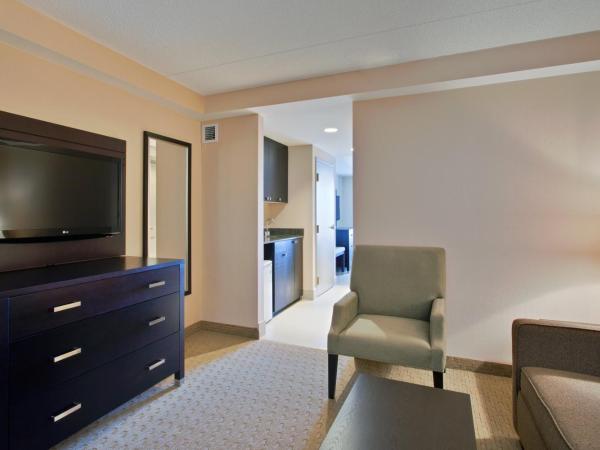 Holiday Inn Express Hotel & Suites Ottawa West-Nepean, an IHG Hotel : photo 4 de la chambre suite lit king-size
