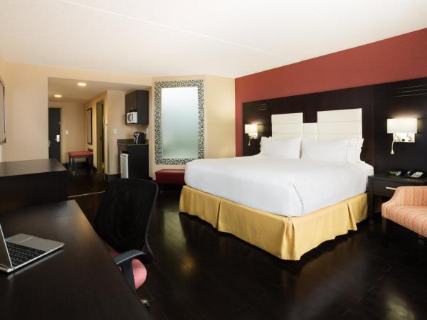 Holiday Inn Express Hotel & Suites Ottawa West-Nepean, an IHG Hotel : photo 3 de la chambre suite lit king-size avec baignoire spa