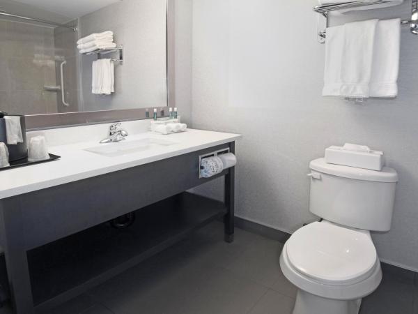 Holiday Inn Express and Suites Calgary, an IHG Hotel : photo 4 de la chambre chambre lit king-size standard avec canapé-lit - non-fumeurs