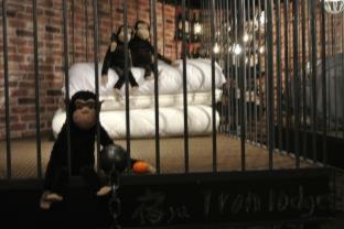 Yadoya Lodge : photo 8 de la chambre room #200200403