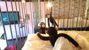 Yadoya Lodge : photo 6 de la chambre room #200200405