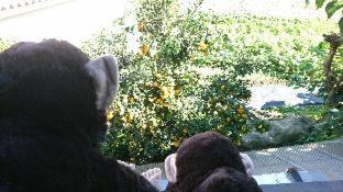 Yadoya Lodge : photo 8 de la chambre room #200200405