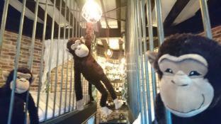 Yadoya Lodge : photo 7 de la chambre room #200200406