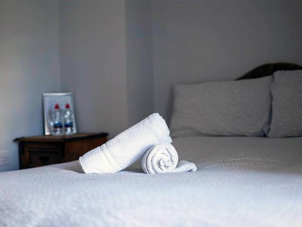 The Woodquay Hostel : photo 8 de la chambre chambre double avec salle de bains privative