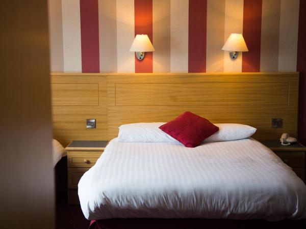 Viking Hotel- Adults Only : photo 1 de la chambre chambre double standard