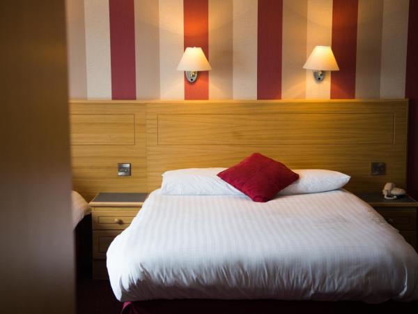 Viking Hotel - Adults Only : photo 1 de la chambre chambre double standard