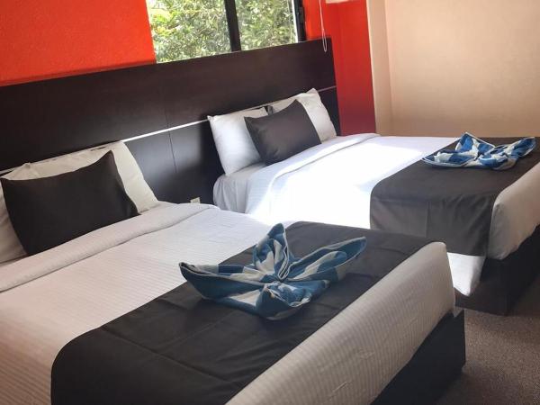 Oaxaca Inn Reforma : photo 3 de la chambre chambre double avec 2 lits doubles