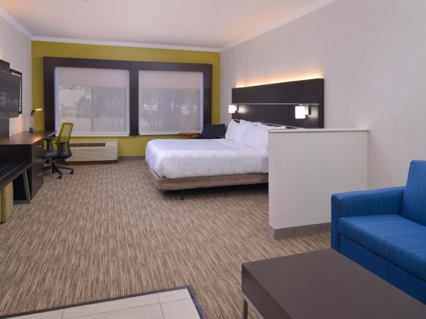 Holiday Inn Express & Suites Austin NW - Lakeline, an IHG Hotel : photo 1 de la chambre suite lit king-size – non-fumeurs
