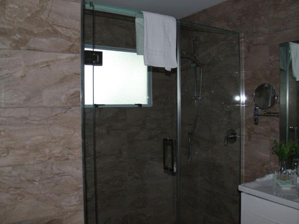 ASURE Camelot Arms Motor Lodge : photo 5 de la chambre appartement 1 chambre premium